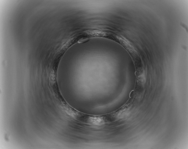 X0000098000469200803241346