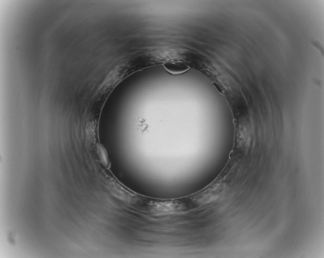 X0000098000473200803241346