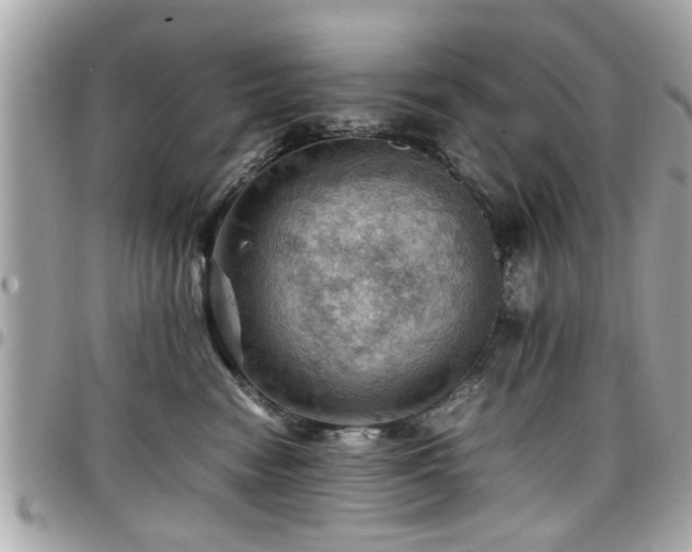 X0000098000474200803241346