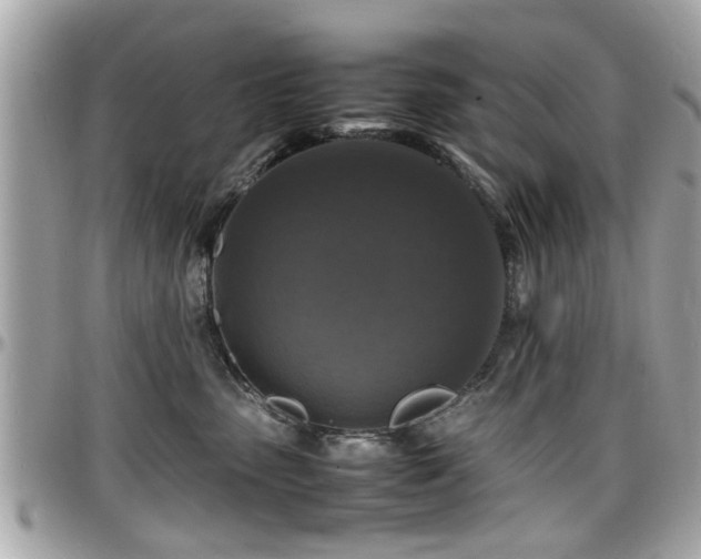 X0000098000475200803241346