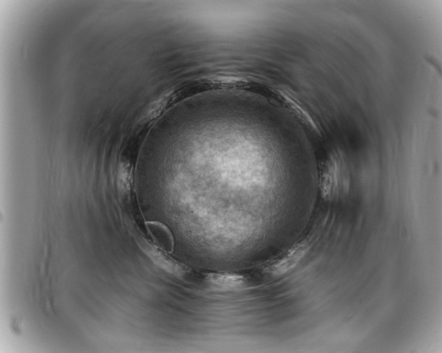 X0000098000476200803241346