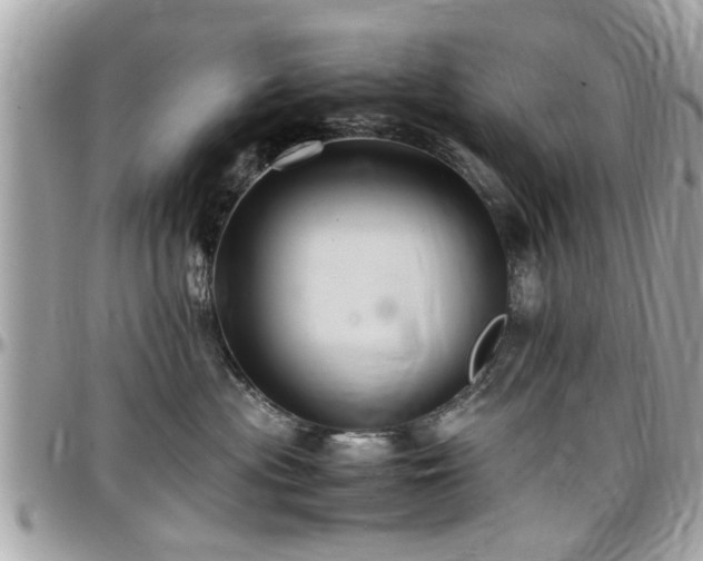 X0000098000477200803241346