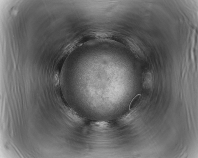 X0000098000478200803241346