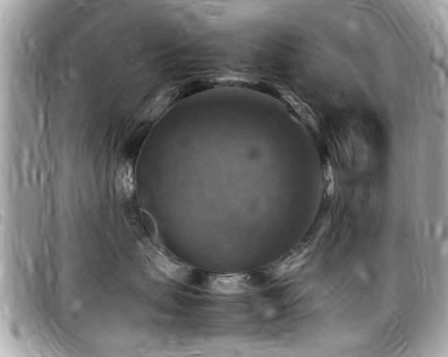 X0000098000479200803241346