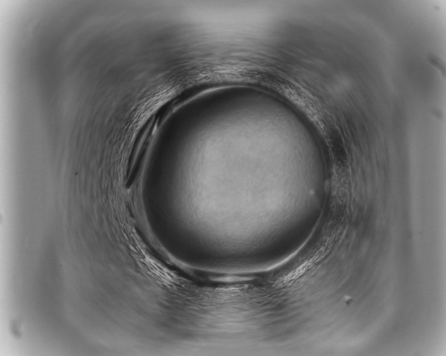 X0000098000481200803241345