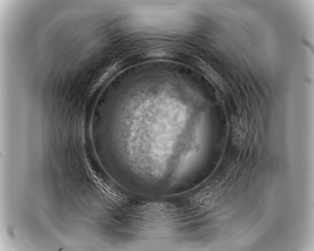 X0000098000482200803241345