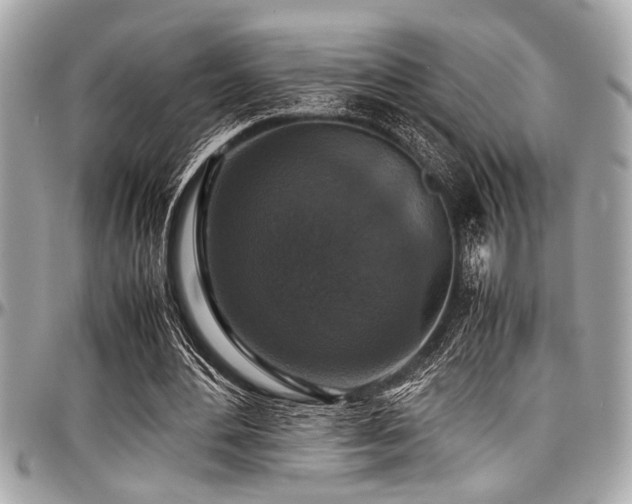 X0000098000484200803241345