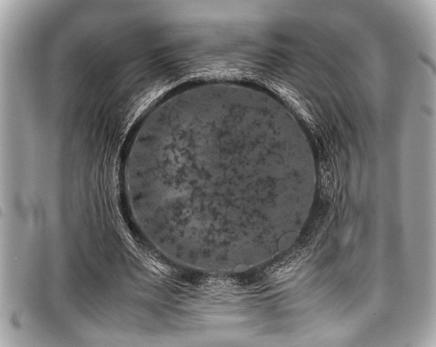 X0000098000487200803241345