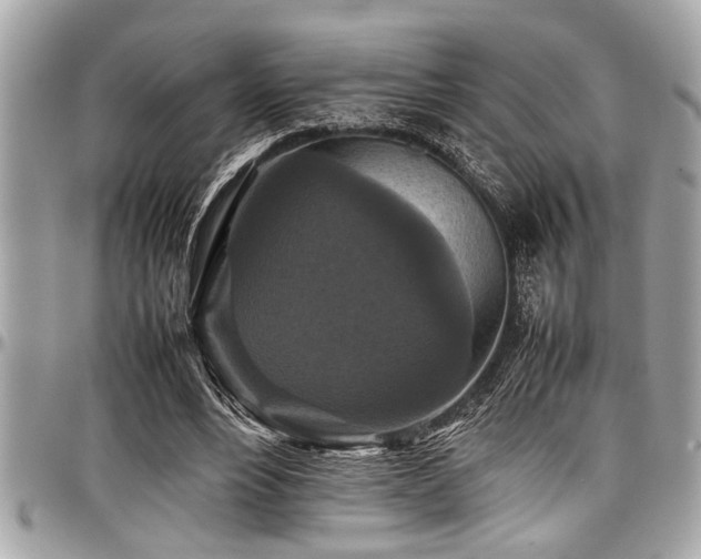 X0000098000488200803241345