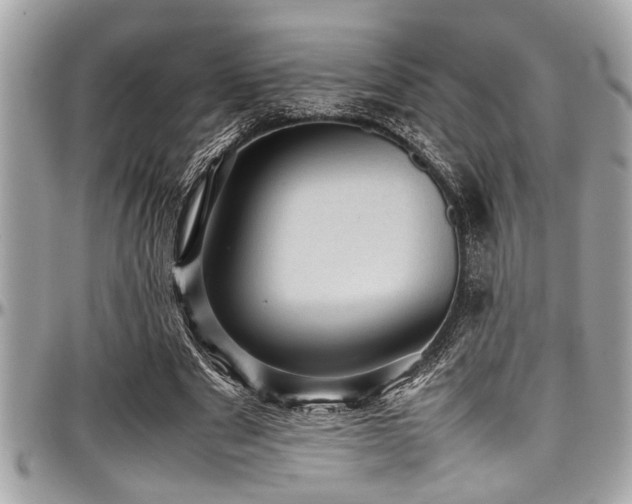 X0000098000489200803241345