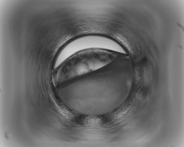 X0000098000491200803241345