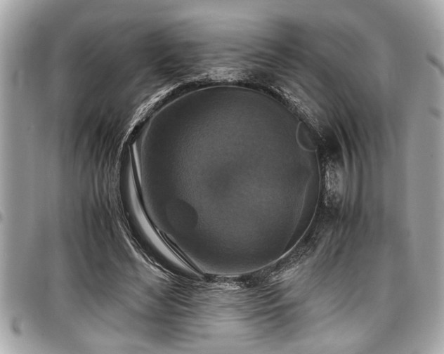 X0000098000492200803241345