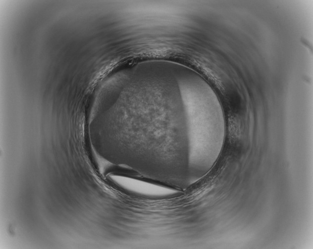 X0000098000493200803241345