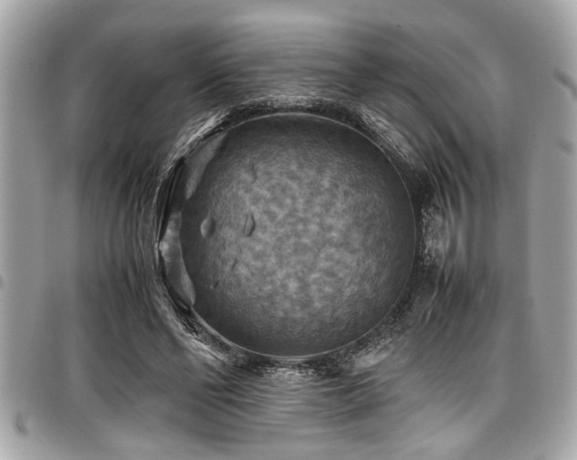 X0000098000494200803241345