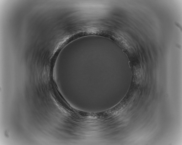 X0000098000496200803241345