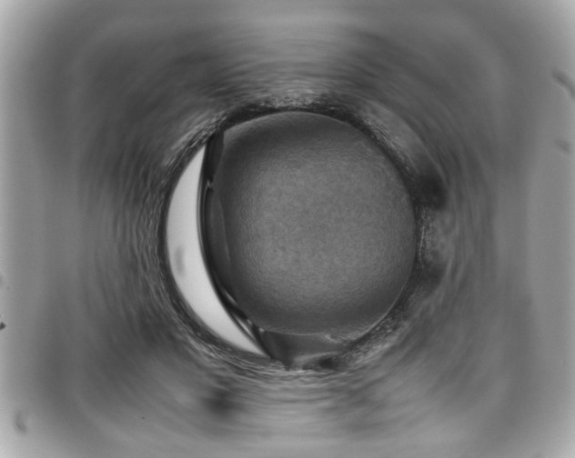 X0000098000501200803241345