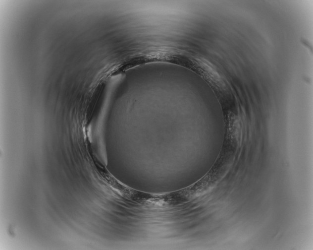 X0000098000502200803241345