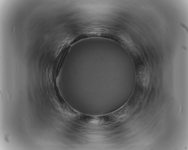 X0000098000504200803241345