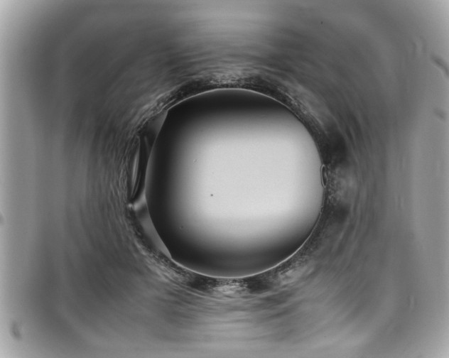 X0000098000505200803241345
