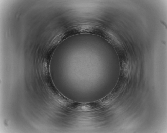 X0000098000506200803241345