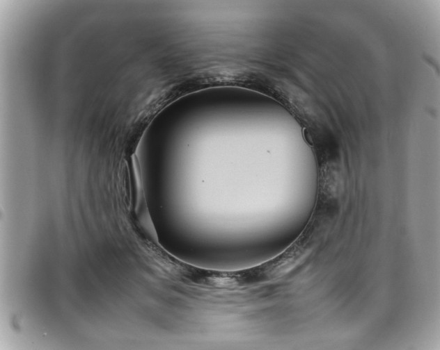 X0000098000509200803241345