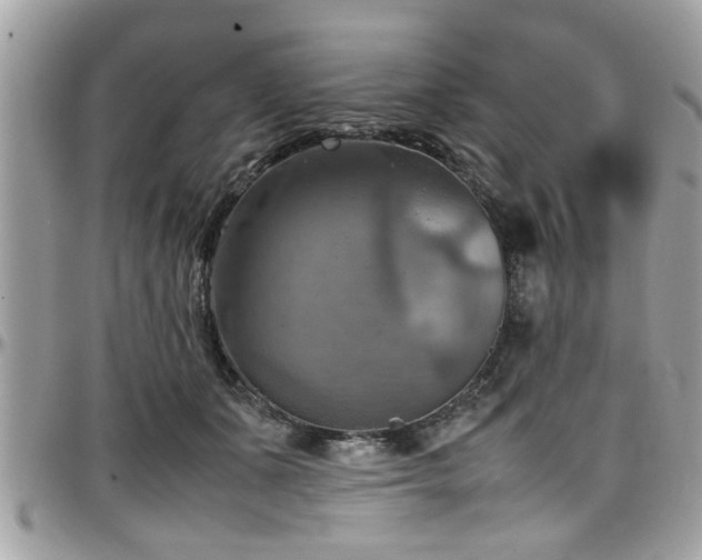 X0000098000511200803241345