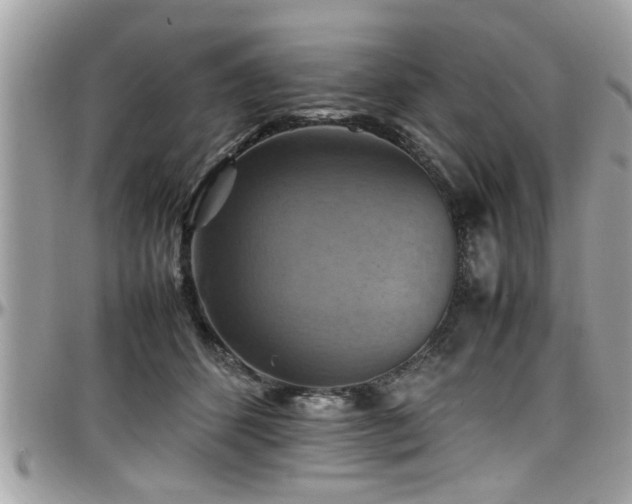 X0000098000512200803241345