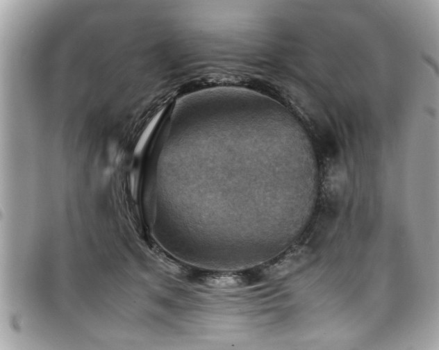 X0000098000513200803241345
