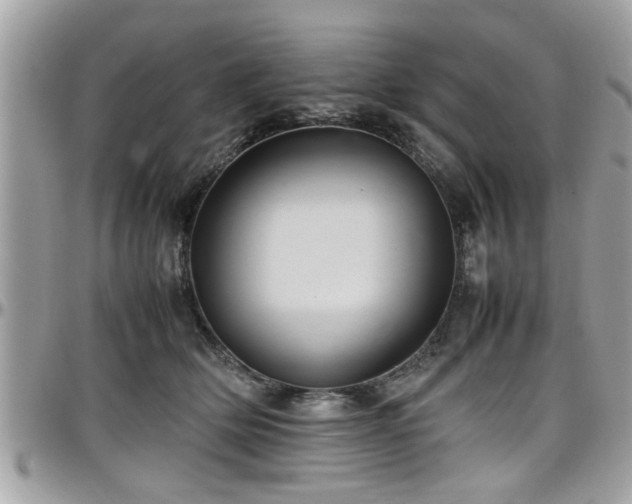 X0000098000514200803241345