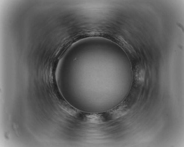 X0000098000516200803241345