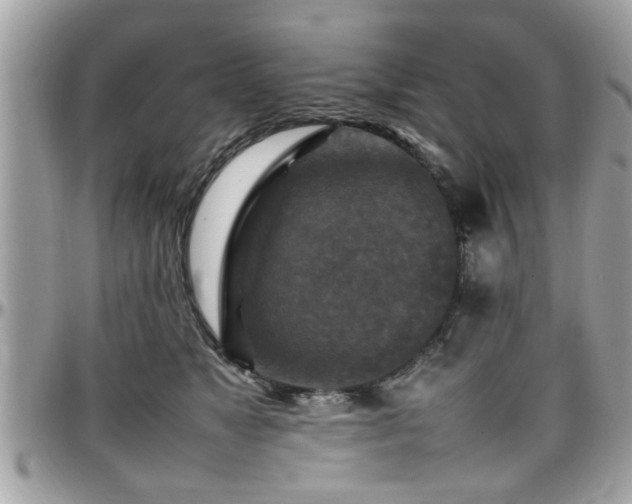 X0000098000517200803241345