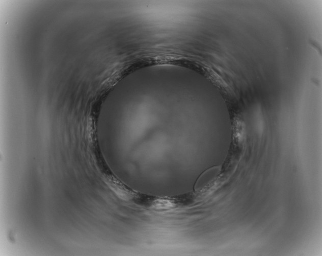 X0000098000519200803241345