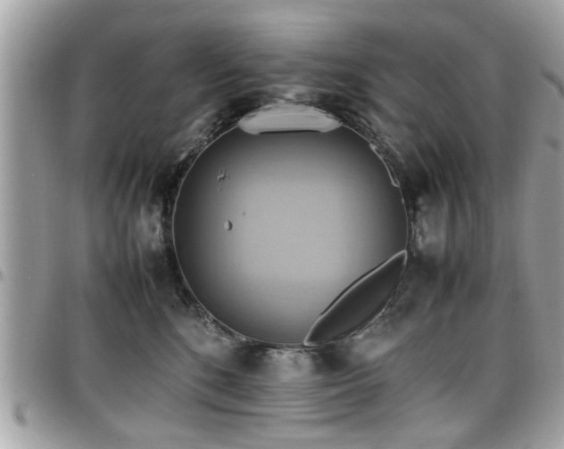 X0000098000520200803241345