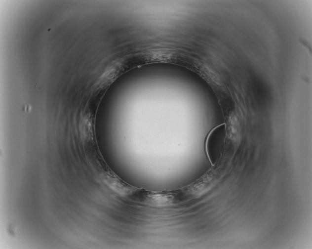 X0000098000522200803241345