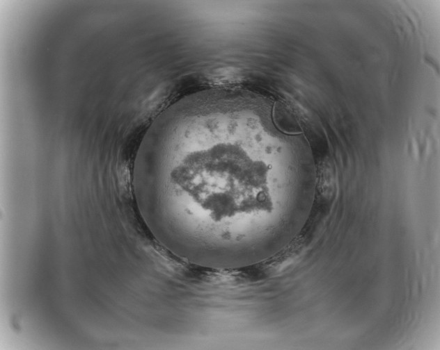 X0000098000523200803241345