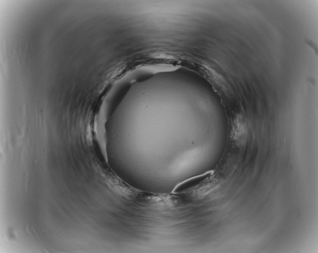 X0000098000524200803241345