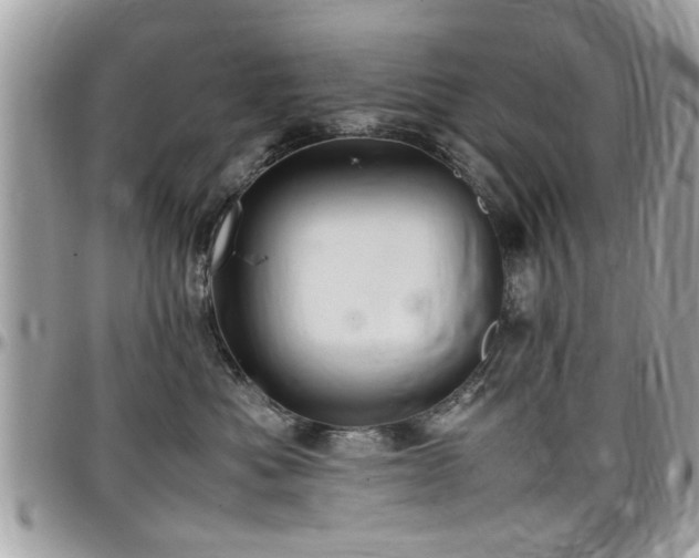 X0000098000525200803241345