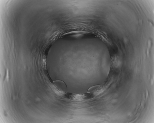 X0000098000527200803241344