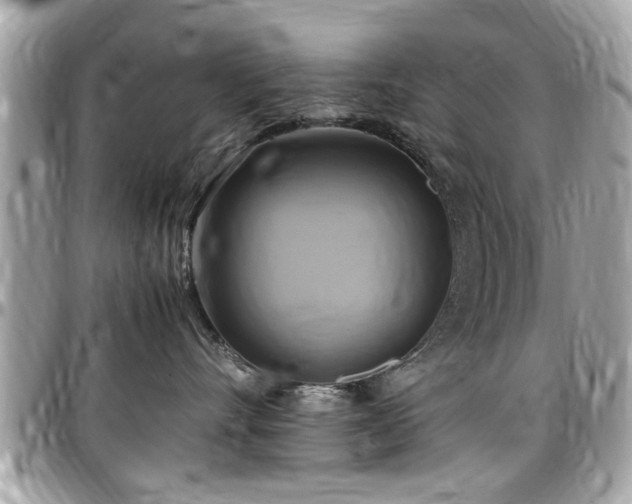 X0000098000528200803241344