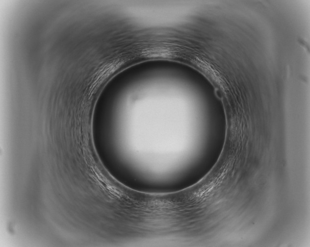 X0000098000529200803241344