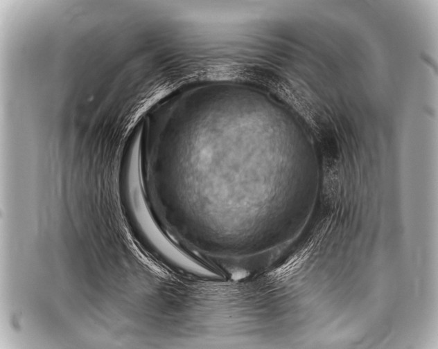 X0000098000530200803241344