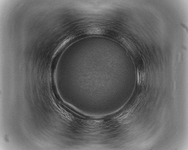 X0000098000531200803241344