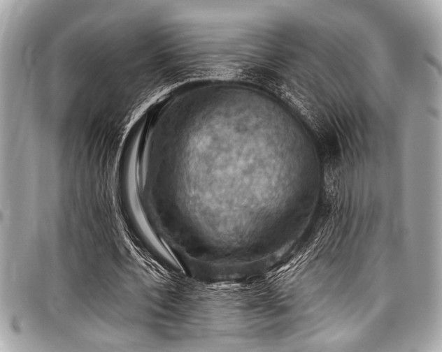 X0000098000532200803241344