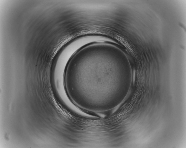 X0000098000534200803241344