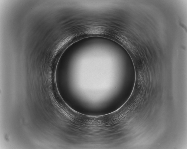 X0000098000535200803241344