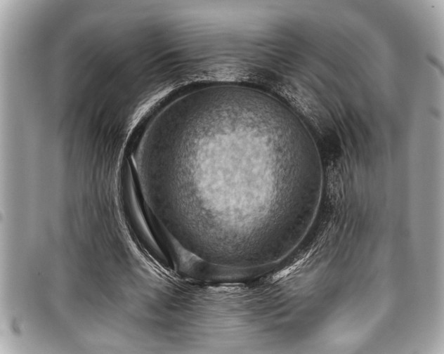 X0000098000536200803241344