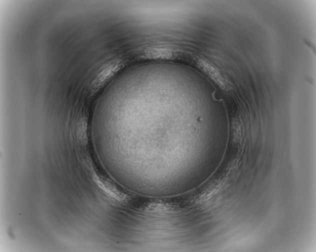 X0000098000538200803241344