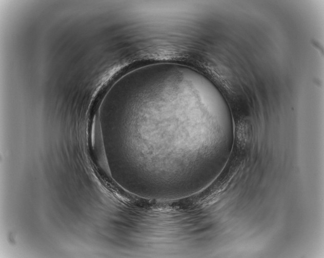 X0000098000540200803241344