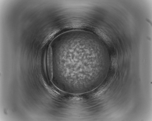 X0000098000542200803241344