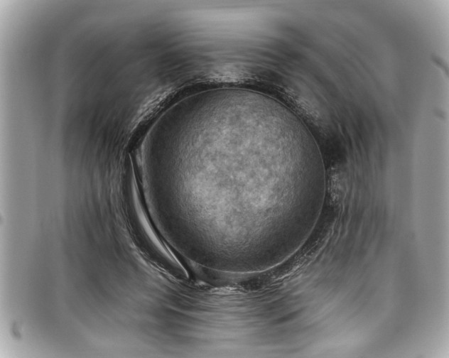 X0000098000544200803241344